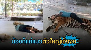 เสือโคร่ง