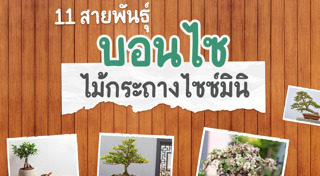 พันธุ์ไม้