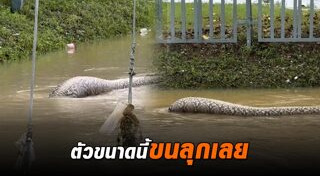 น้ำท่วมภาคใต้