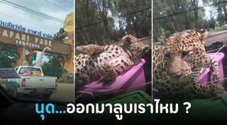 เที่ยววันหยุด