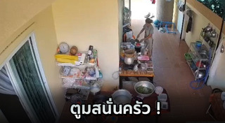 เตาแก๊ส