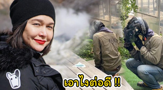 ตัดต้นไม้