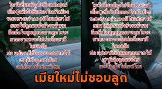 แม่เลี้ยง