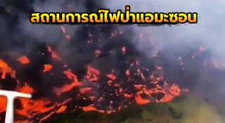 ป่าแอมะซอน