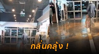 อุจจาระ