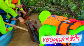 ช่วยน้ำท่วม