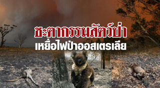 ไฟป่าออสเตรเลีย