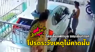 คาเฟ่หมา