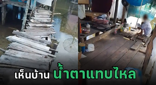 บ้านไม้ชั้นเดียว