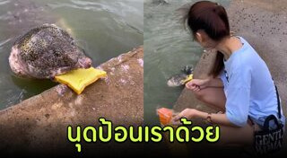 อาหารปลา