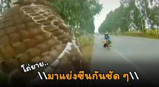 อาหารสัตว์เลี้ยง