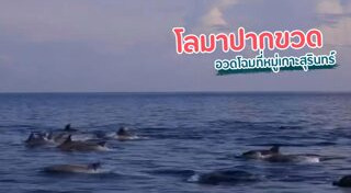 หมู่เกาะสุรินทร์