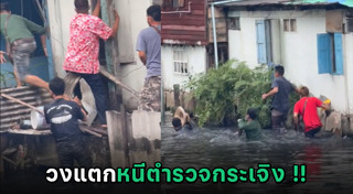 บ่อนไก่