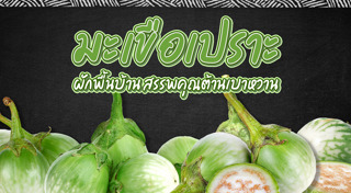 มะเขือเปราะ