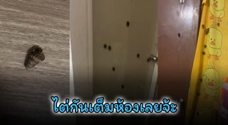 หอย