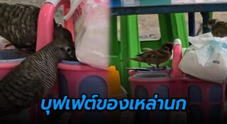 ร้านก๋วยเตี๋ยว