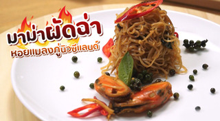 หอยแมลงภู่