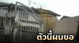 โรคจิตขโมยกางเกงใน