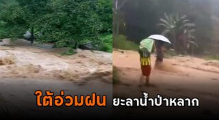 น้ำท่วมภาคใต้