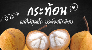 กระท้อน