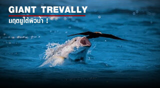 ปลาทะเลน้ำลึก