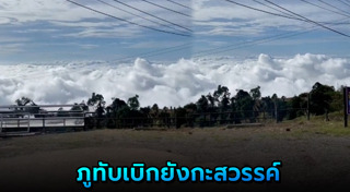 ทะเลหมอก