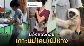 สัตว์ป่าคุ้มครอง