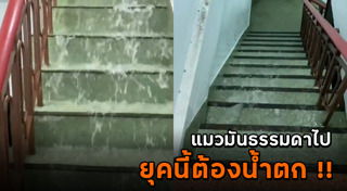 มุกจีบสาว