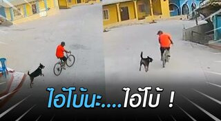 ปั่นจักรยาน