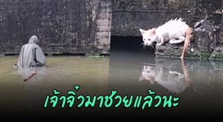 เรื่องราวดี ๆ