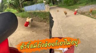 ไปรษณีย์