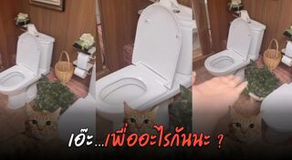 เรื่องแปลกทั่วโลก