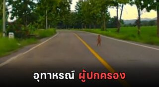 รถชนเด็ก