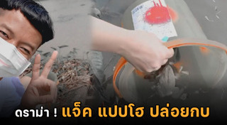 ปล่อยเต่า