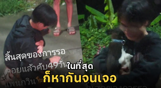 สุนัขหาย