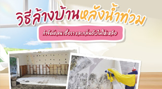 ทำความสะอาดบ้าน