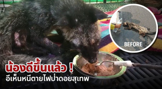 ดอยสุเทพ