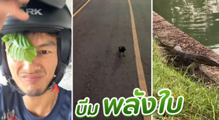 ใบกระท่อม