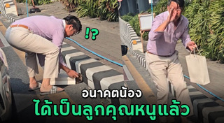 ช่วยแมว