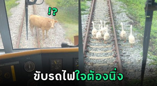 รถไฟไทย