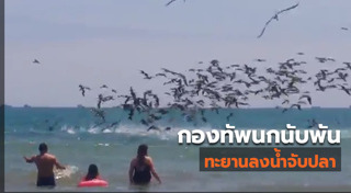 นกกระสา