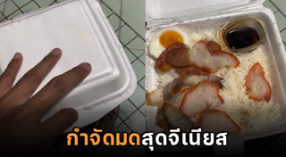 วิธีกำจัดมด