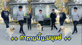 แอโรบิก