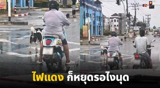 ไฟจราจร