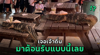 มหาวิทยาลัยธรรมศาสตร์