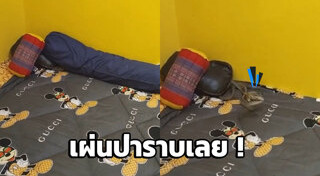 งูอนาคอนด้า