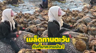 ธัญพืชเพื่อสุขภาพ