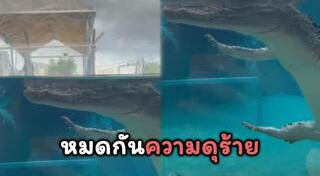 สัตว์ครึ่งบกครึ่งน้ำ