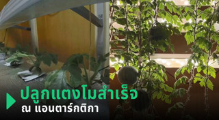 รัสเซีย