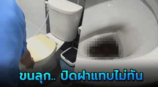 งูในชักโครก